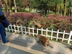 -黔灵山公园-南门售票处