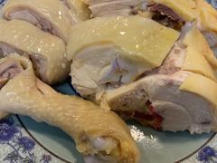 -九斤黄三黄鸡专卖店