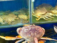 -广记海鲜(杨汊湖一店)