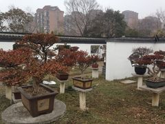 -竹西公园