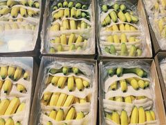 -菜园坝水果市场