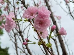 -观澜湖生态运动公社
