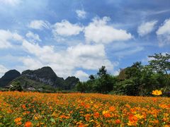 -靖西鹅泉风景区