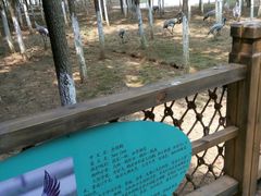 android_upload_pic-艾溪湖湿地公园