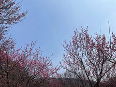 -无锡梅园公园