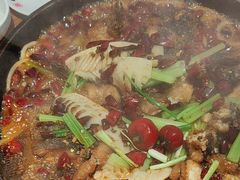 -老板恋上鱼(恒隆广场店)