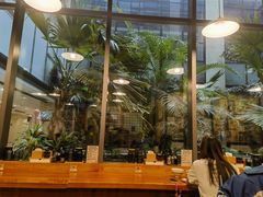 -日出拉面(望京店)