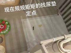 -多乐狗狗宠物训练工作室