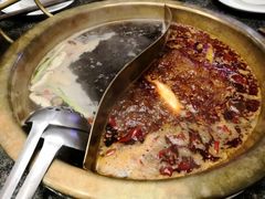 鸳鸯锅品-小天鹅火锅·一线江景洪鼎旗舰店(洪崖洞店)