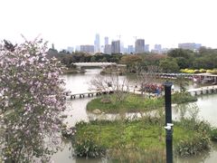 -天鹅到家·保姆月嫂育儿嫂(天河店)