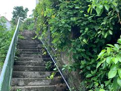 -南丫岛