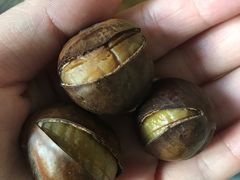 -粒上皇(崇文门店)