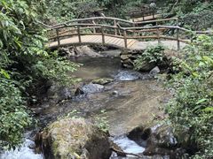 -莫里热带雨林景区