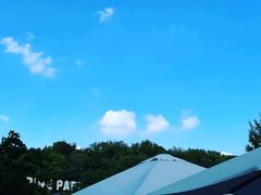 -北极阁公园