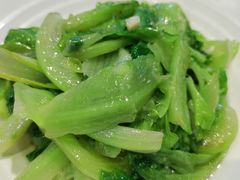 蒜泥生菜-心怡东北烤冷面(赤峰路店)