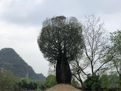 -Club Med地中海俱乐部·桂林度假村