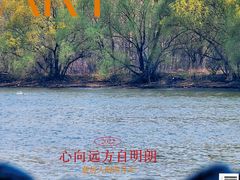 -麦当劳(龙之梦购物中心店)