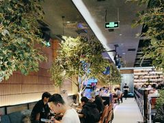 -同仁四季椰子鸡(海岸城天利店)