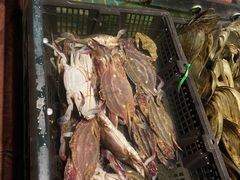 -九月海·海鲜自助(世纪东方店)