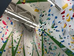 -绿壁虎攀岩基地(Tcar店)