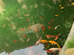 -上海浦东星河湾酒店