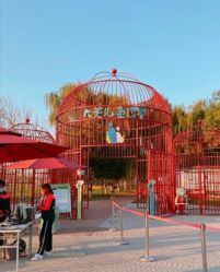 -大美儿童世界(奥林匹克水上公园店)