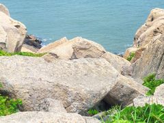 -东极岛景区-青浜岛