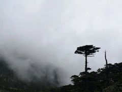 -苍山感通索道