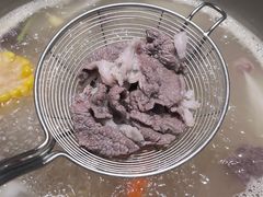 -掂档潮汕牛肉火锅(沈阳万象城店)