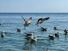 -银沙滩浴场
