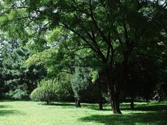 -望湖公园