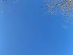 -秦岭终南山世界地质公园翠华山景区