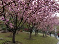 -苏州河梦清园环保主题公园