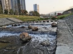 -光明小镇欢乐田园