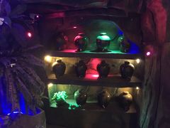 -醉小酒馆·川菜·江湖菜·重庆菜(观音桥旗舰店)