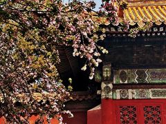 -故宫博物院(故宫)