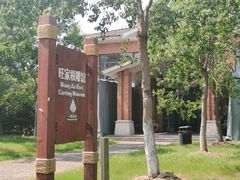 -上海海湾国家森林公园