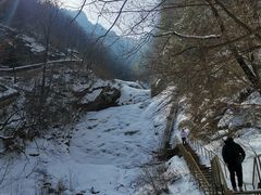 -青峰峡国家森林公园