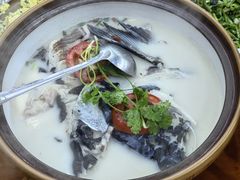 -全乐鱼馆·淳牌有机鱼直营店