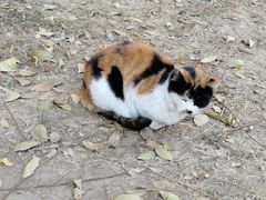 -中医药大学-老3楼餐厅