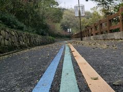 -杭州半山国家森林公园