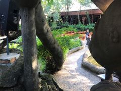 -绿光森林餐厅