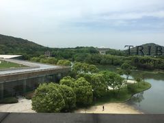 -佘山世茂艾美·御珍轩中餐厅