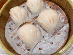 -新南华大酒店(广中店)