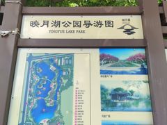 -映月湖公园