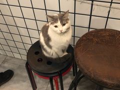 -有何Book(六堰体育馆店)