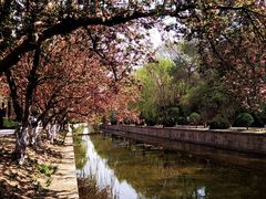 -元大都城垣遗址公园