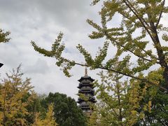 -安亭老街