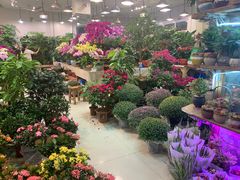 -双季花艺园艺市场(浦东店)