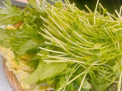 -一朵菌·野生菌探索家火锅(南亚店)